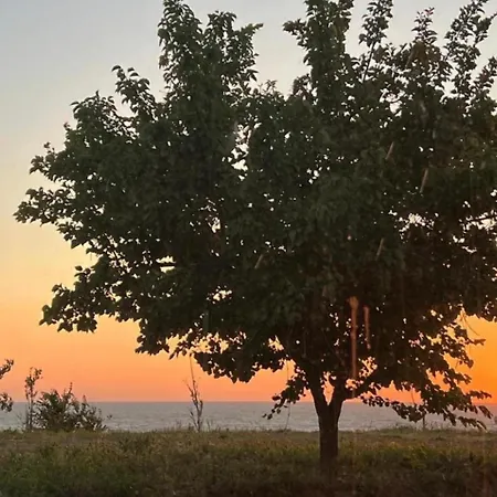 Casa For Rent * Karpen